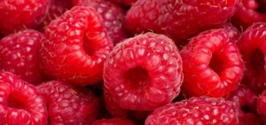 Background of ripe red raspberries, close up